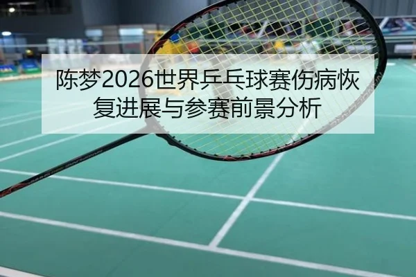 chen-meng-shi-jie-ping-pang-qiu-sai-shang-bing-hui-fu-jin-zhan-yu-can-sai-qian-jing-fen-xi-2-162.jpg