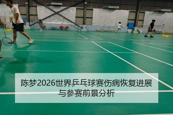 陈梦2026世界乒乓球赛伤病恢复进展与参赛前景分析