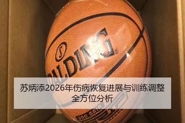 苏炳添2026年伤病恢复进展与训练调整全方位分析