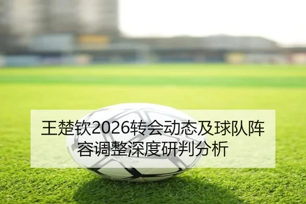 王楚钦2026转会动态及球队阵容调整深度研判分析