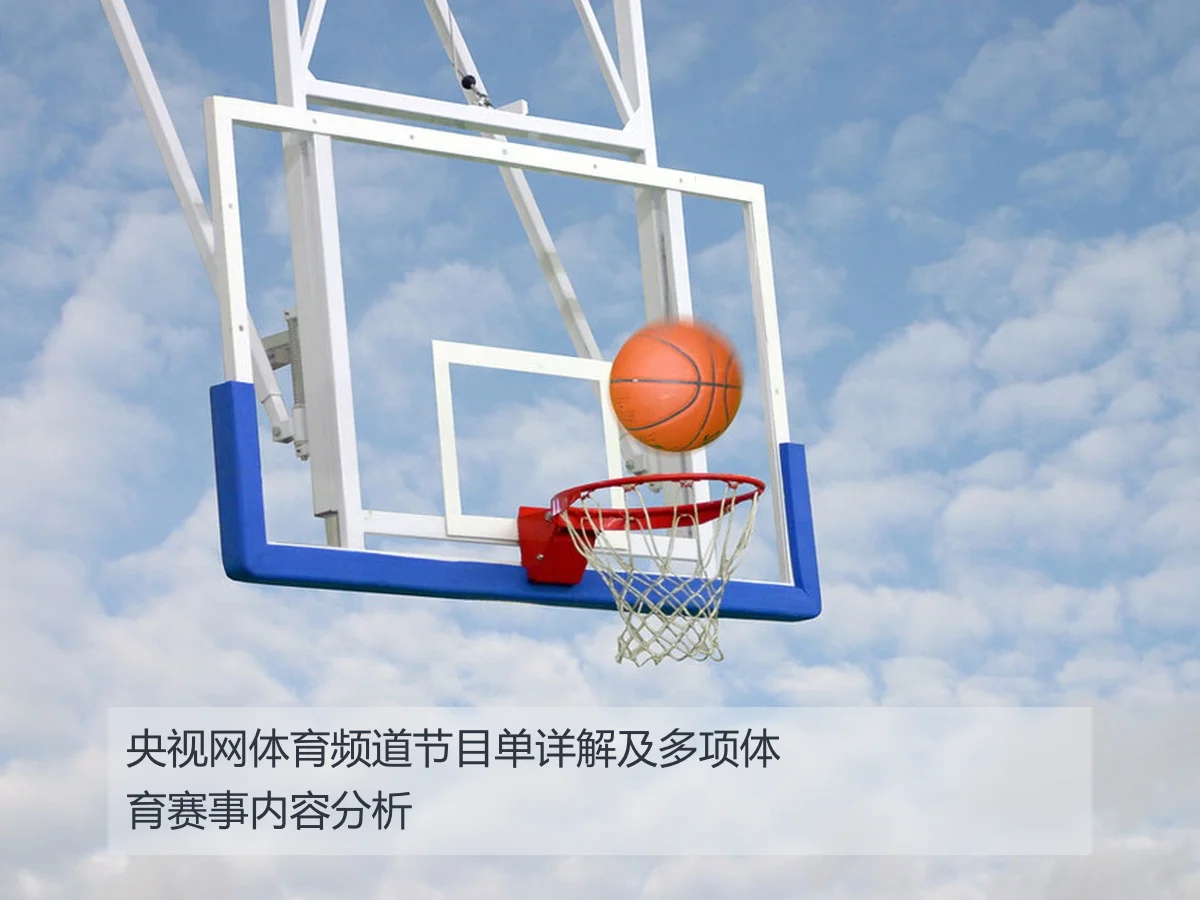 央视网体育频道节目单详解及多项体育赛事内容分析