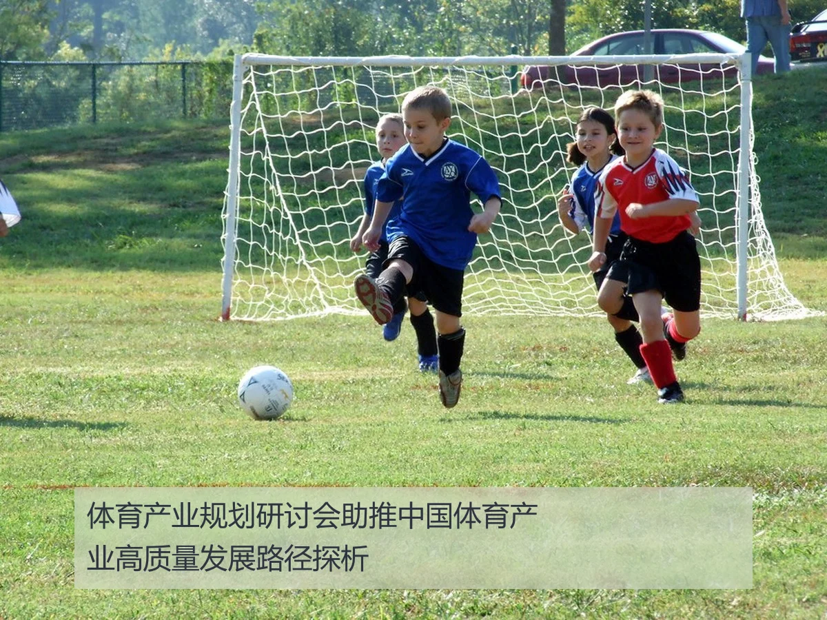 体育产业规划研讨会助推中国体育产业高质量发展路径探析